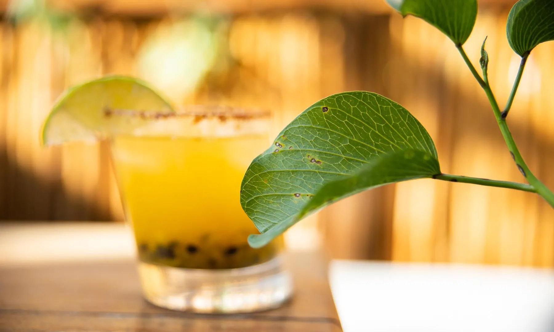 Aroma Tulum & Beach Club 4*,  メキシコ