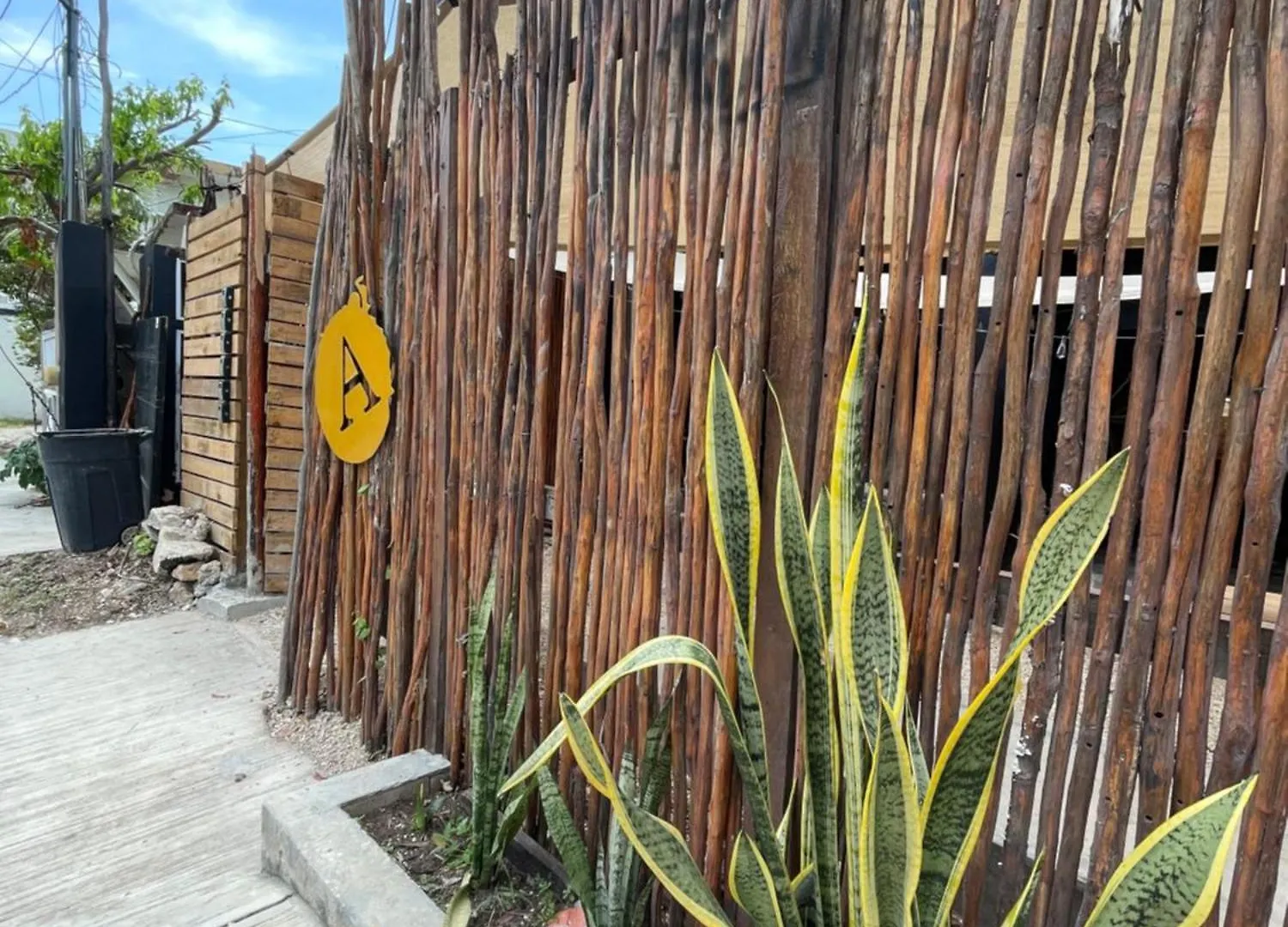 ホテル Aroma Tulum & Beach Club
